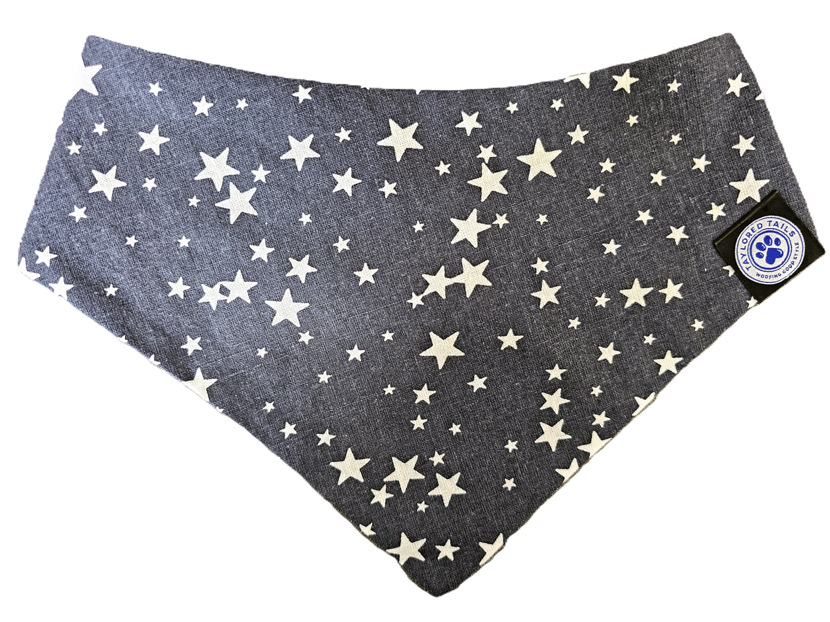 Funky Denim Stars Dog Bandana