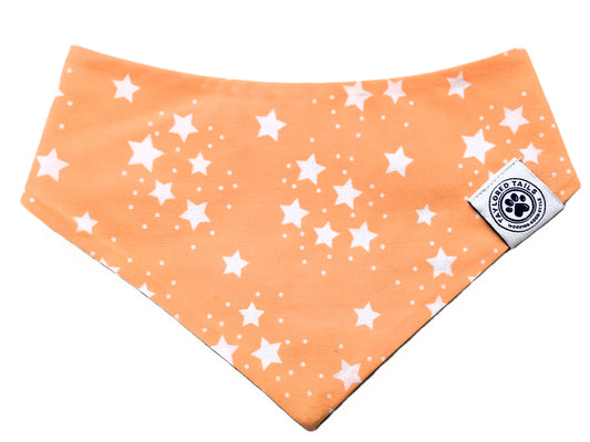 Stars Dog Bandana on Orange Background