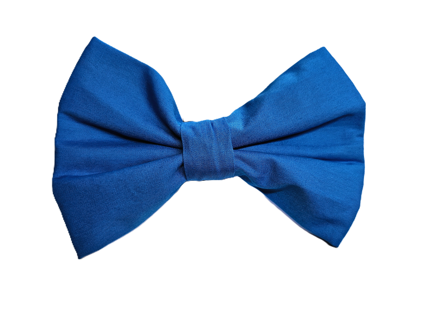 Bright Blue Bow