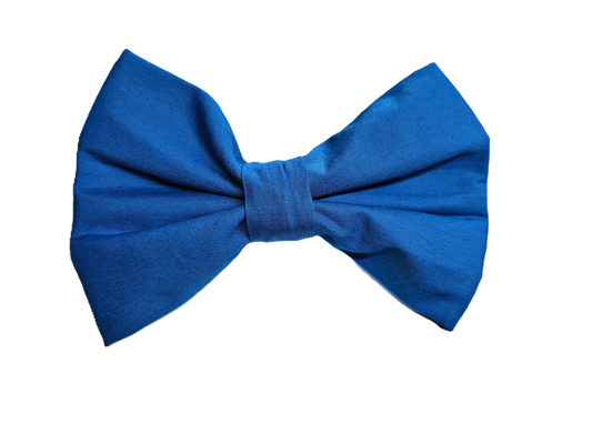 Bright Blue Bow