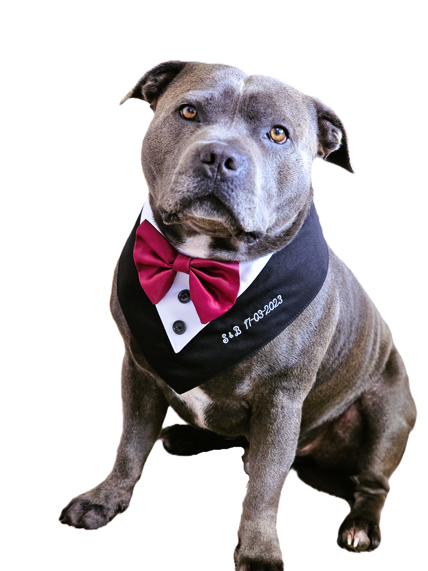 Personalized Tuxedo Bandana