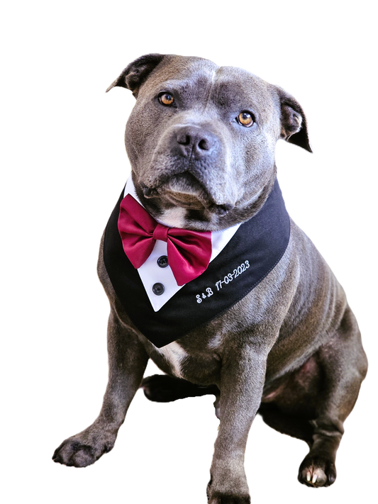 Personalized Tuxedo Bandana