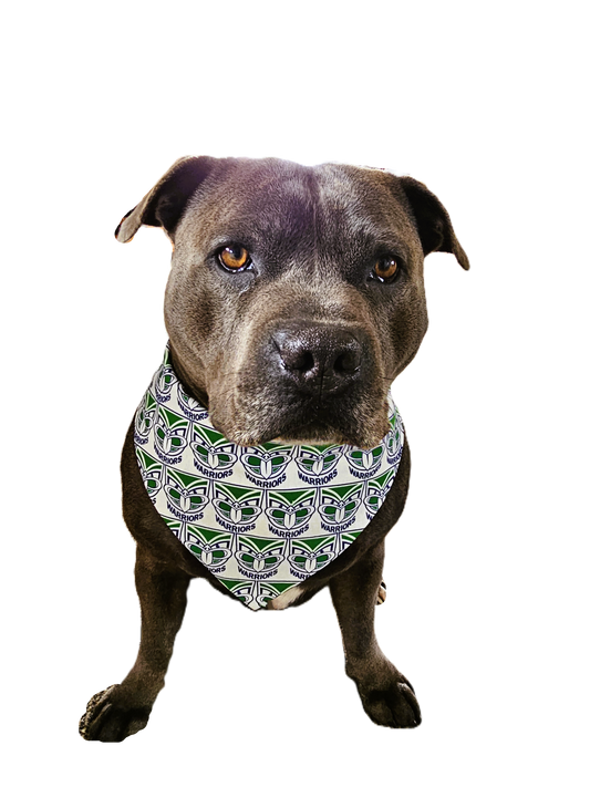 A NZ Warriors Colored Dog Bandanas