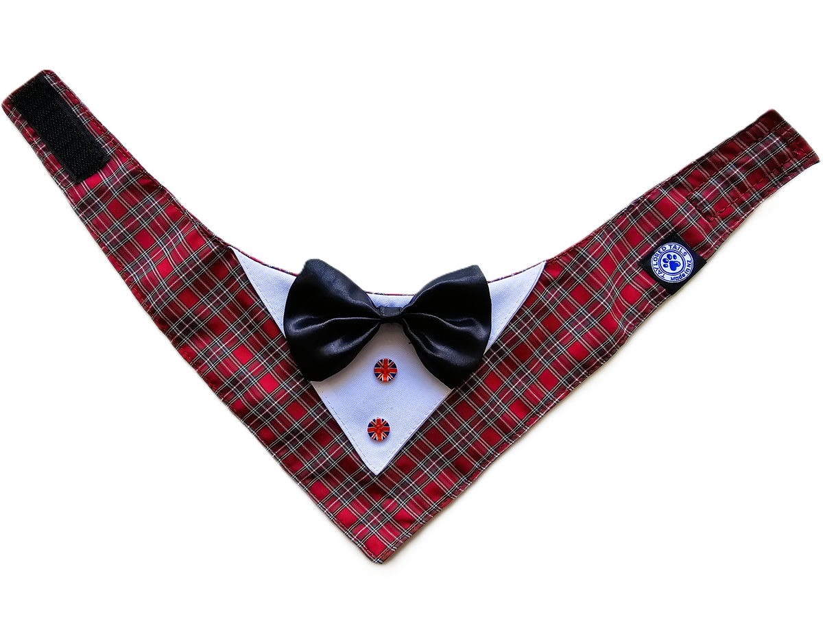 Dog Wedding Tuxedo Bandanas