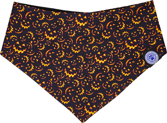 Halloween Grins! Dog Bandana