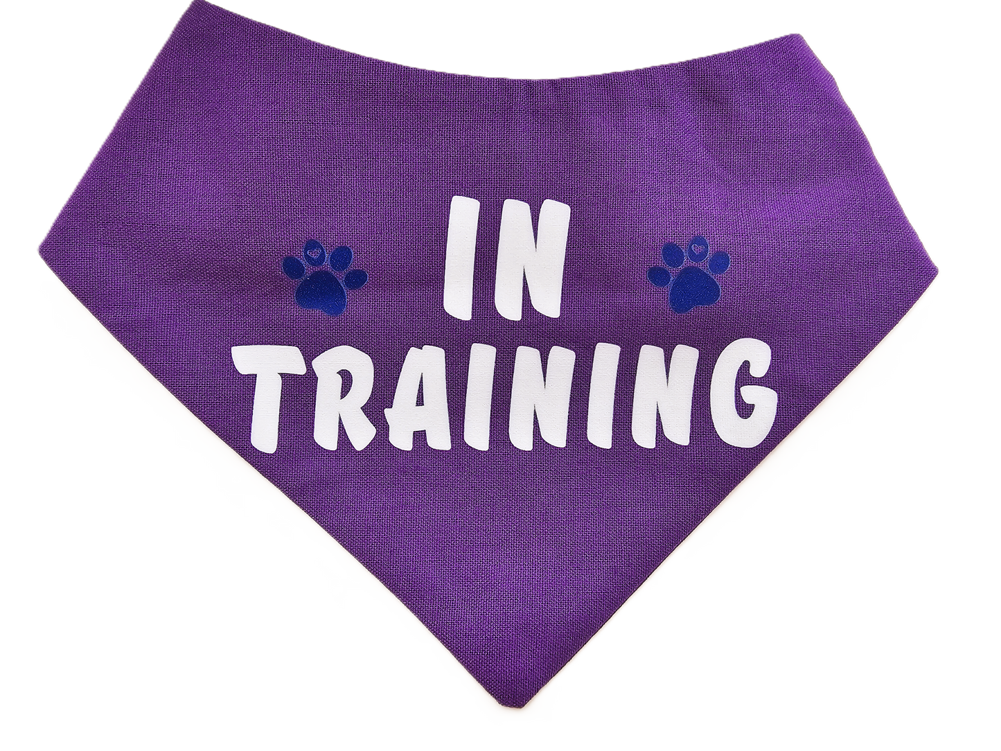 IN TRAINING Dog Bandana