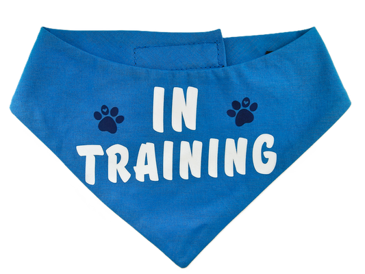 IN TRAINING Dog Bandana