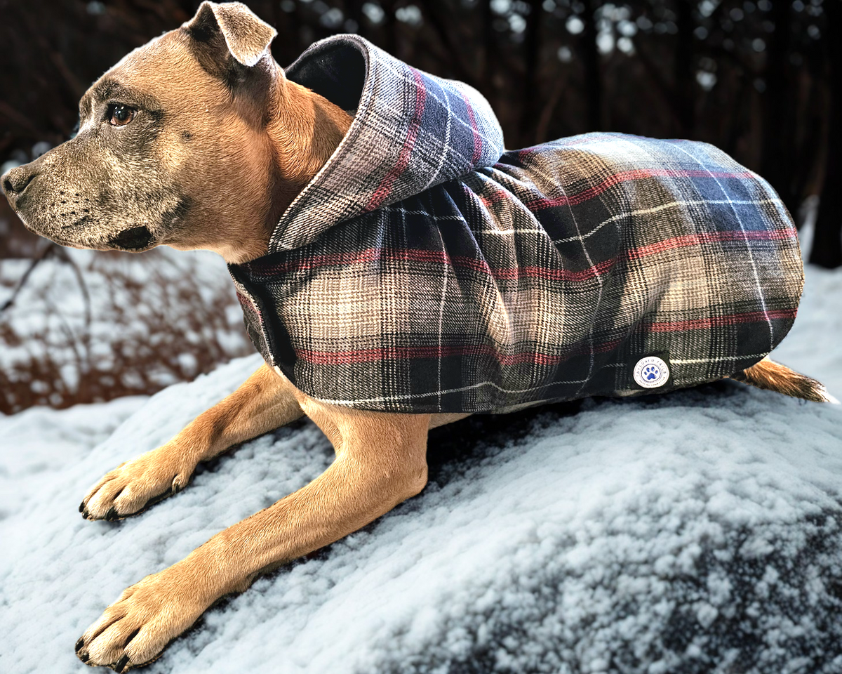 Grey, Red & Black Tartan with Hood Dog Coat