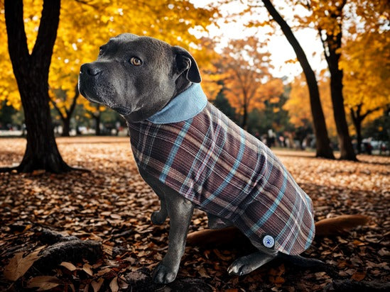 Brown & Blue Check Dog Coat