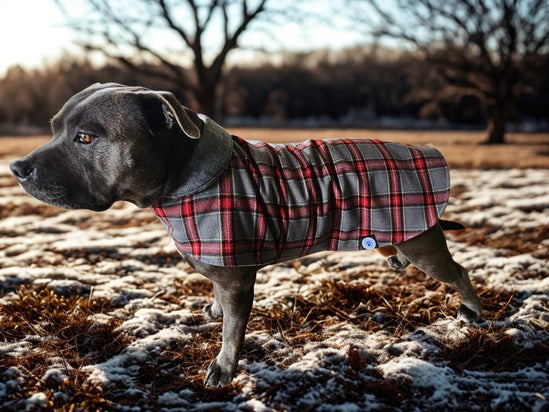 Grey with Red Tartan Dog Coat