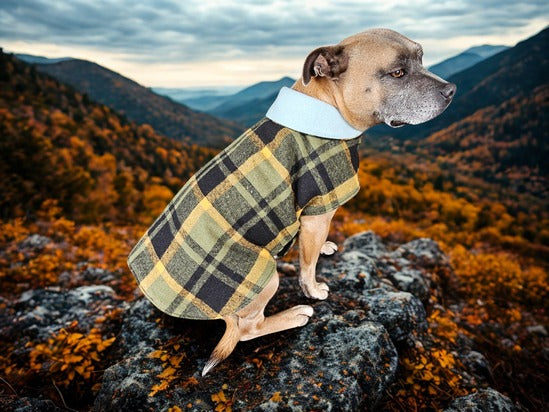 Green, Black & Yellow Check Dog Coat